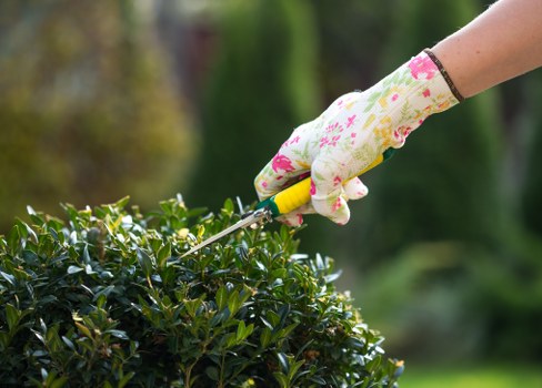 Beautiful garden in Willesden with professional gardening services