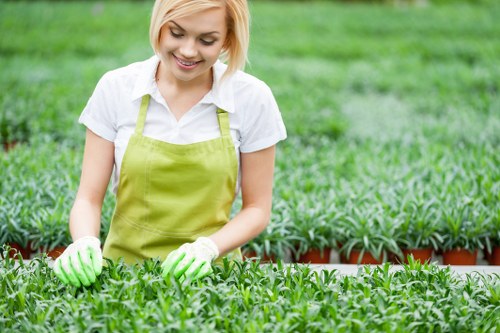 Enhancing gardens with professional gardening services in Willesden